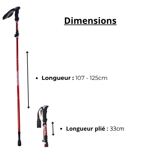 Bâtons de marche | Randonnée / Marche Nordique - 1 Pièce